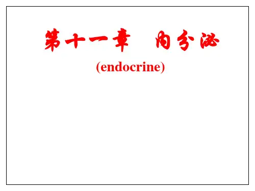 第11章 内分泌