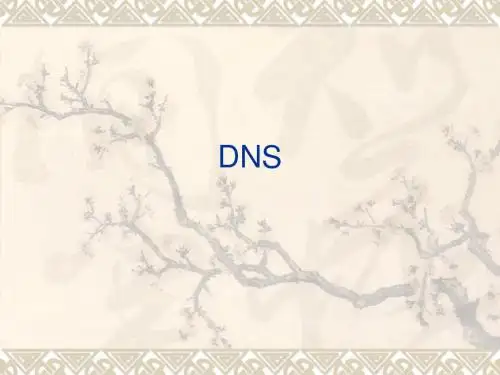 DNS协议
