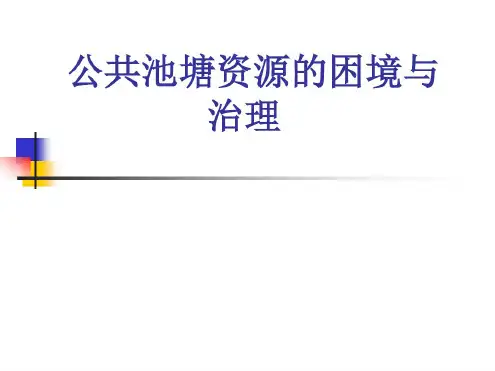 公共管理学:公共池塘资源治理
