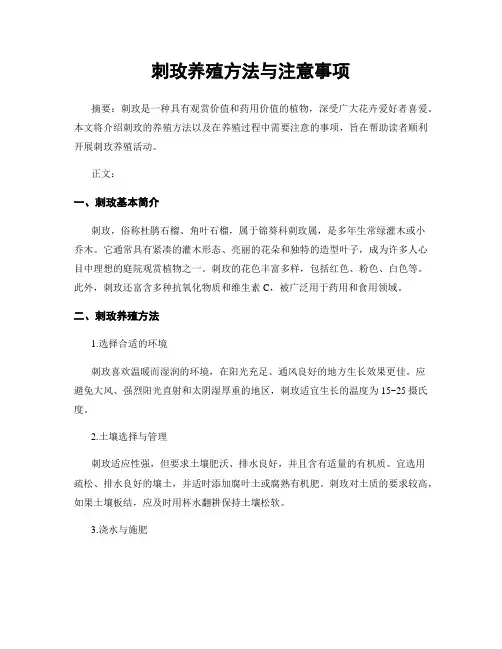 刺玫养殖方法与注意事项