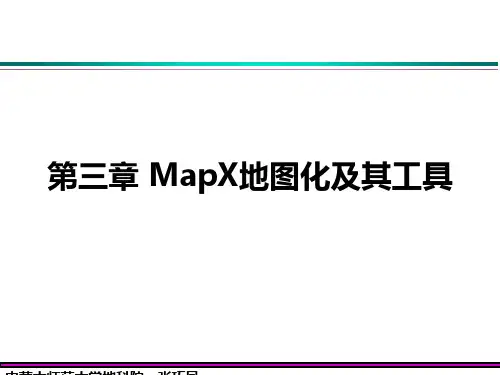 第三章 MapX地图化及其工具
