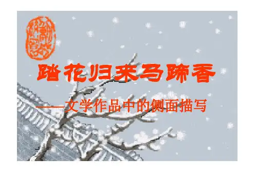 侧面描写作文