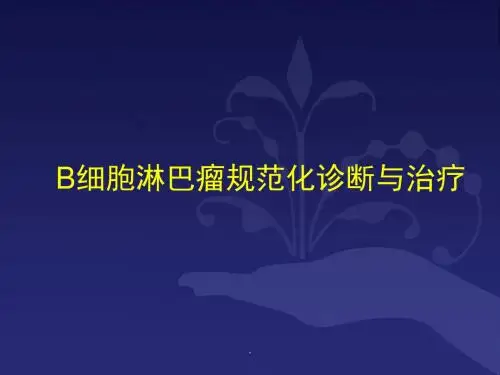 B细胞淋巴瘤规范化诊断与治疗