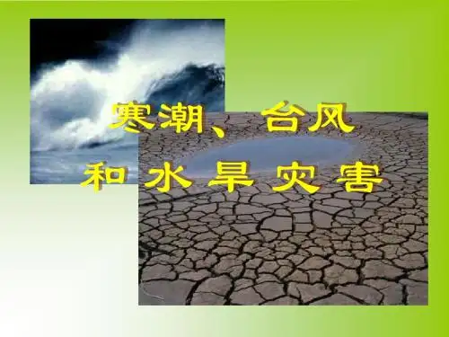 地理：2.2《中国的气候》课件(湘教版八年级上)
