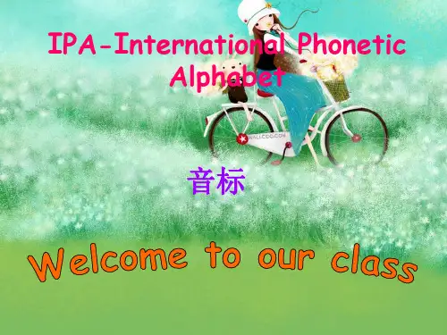 完整音标教学课件