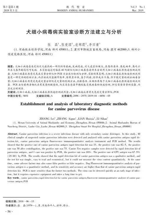 犬细小病毒病实验室诊断方法建立与分析