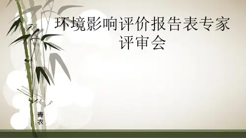 环境影响评价报告表专家评审会PPT课件