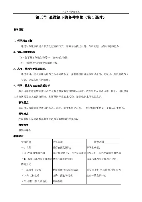 浙教版-科学-九年级上册-显微镜下的各种生物 教案3