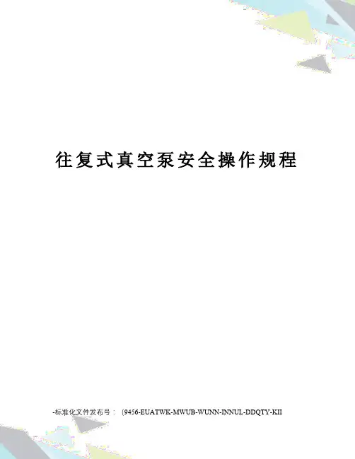 往复式真空泵安全操作规程