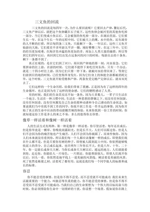 很经典的语录
