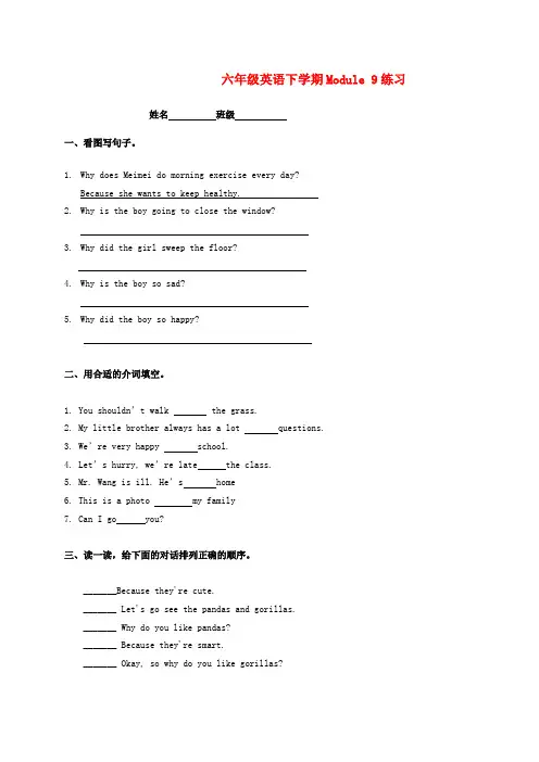 三年级起点外研版小学英语六年级下册Module 9测试题及答案(外研版新标准 小学 英语试题)
