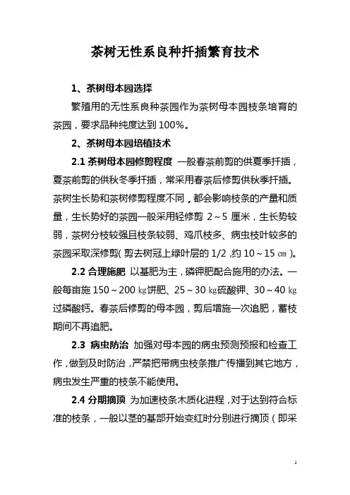 茶树无性系扦插繁殖育苗技术