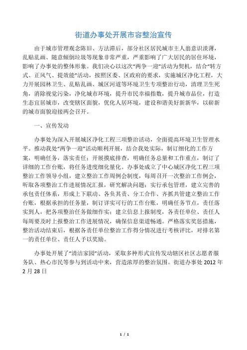 飓风行动工作总结28