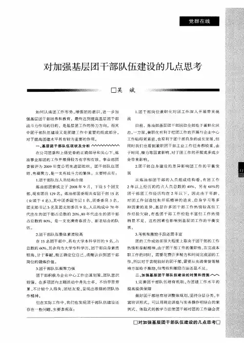 对加强基层团干部队伍建设的几点思考