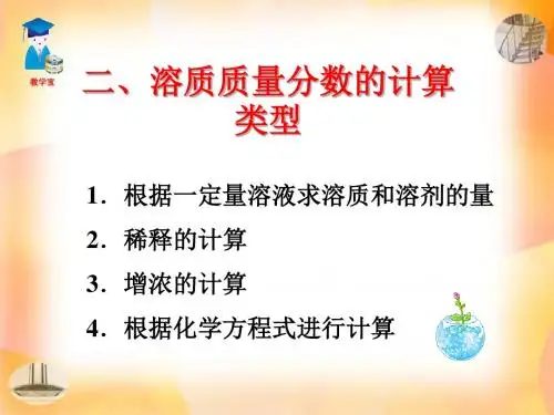 溶质质量分数的计算类型PPT课件 人教版