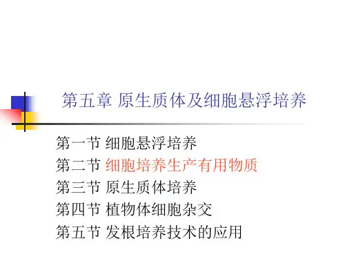 第5章 原生质体及细胞悬浮培养