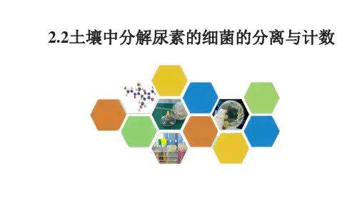 土壤中分解尿素的细菌的分离与计数