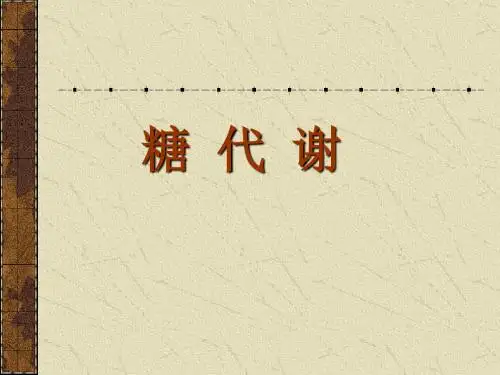 糖代谢-1