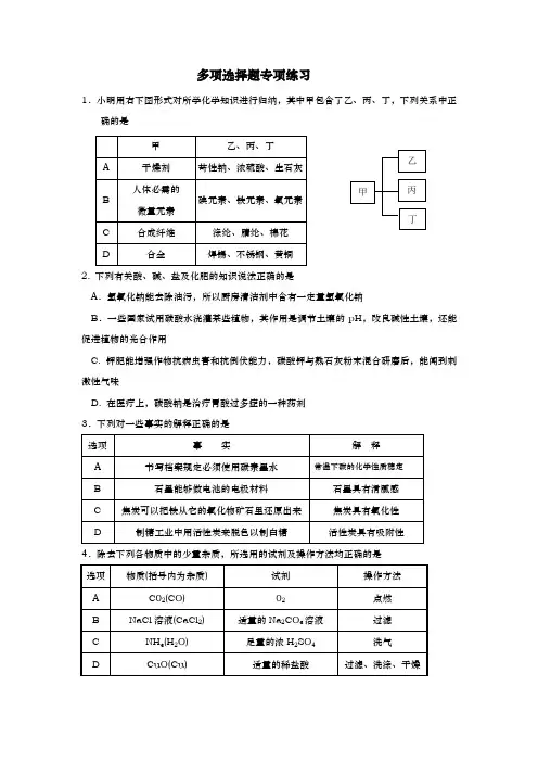 中考化学之多项选择题专项练习试题及答案(绝对精品)