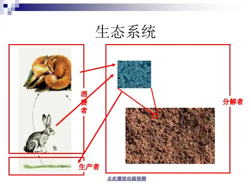 新教科版五年级科学上册《做一个生态瓶》精品课件