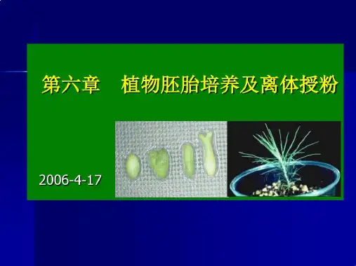 植物组织培养教程