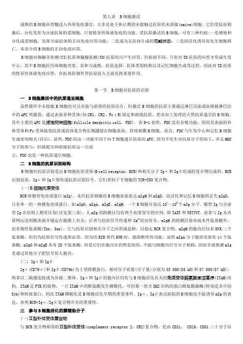 第九章B细胞激活