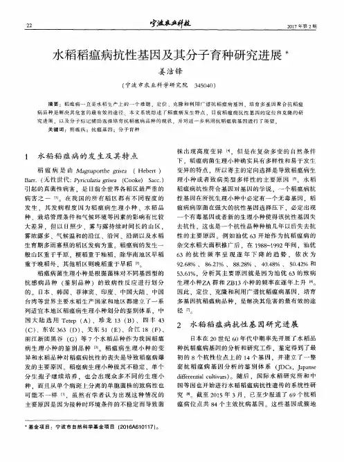 水稻稻瘟病抗性基因及其分子育种研究进展