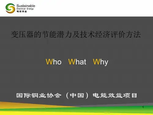 变压器的节能潜力及技术经济评价方法 ppt课件