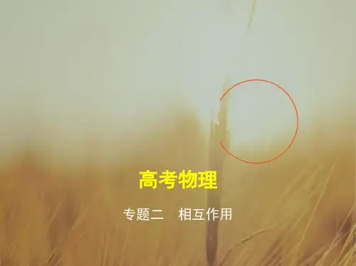 2019版高考物理江苏版一轮配套课件:专题二 相互作用 精品