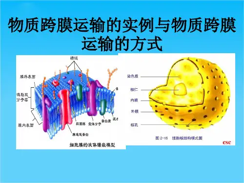2016《金版新学案》高考生物大一轮复习课件第2单元 第3讲  物质跨膜运输的实例与物质跨膜运输的方式