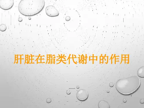 肝脏在脂类代谢中的作用ppt课件