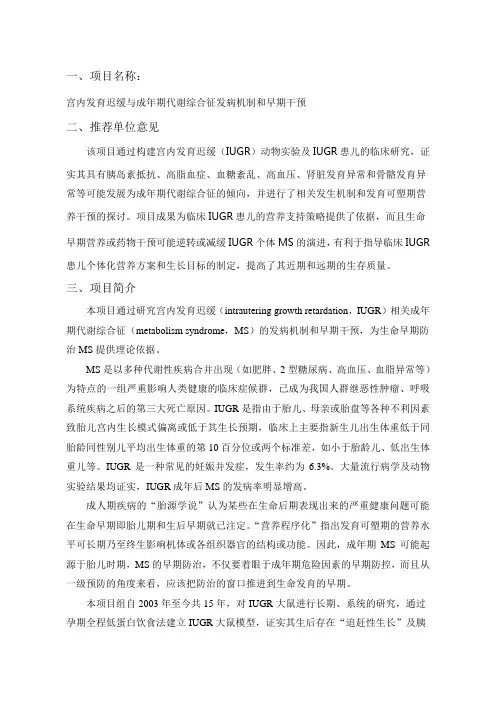 项目名称 2