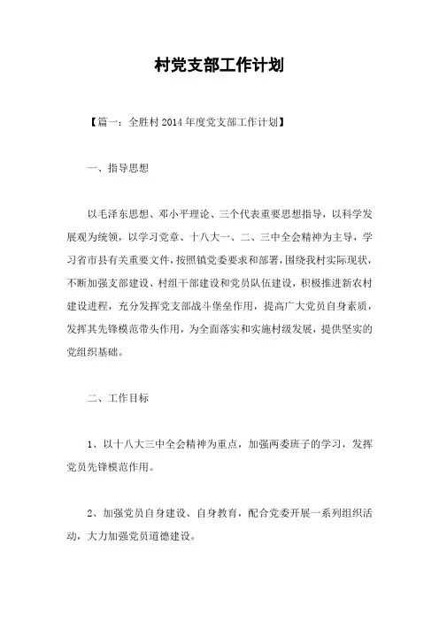村党支部工作计划
