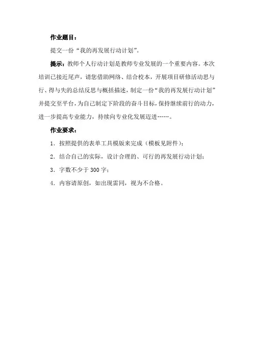 我的再发展行动计划 4