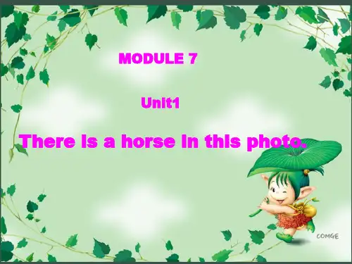 小学英语四年级上册M7U1《There_is_a_horse_in_this_photo》课件