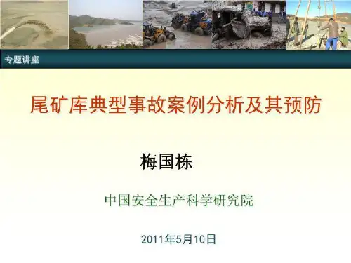 尾矿库典型事故案例分析及预防共103页