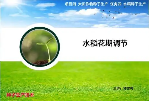 项目二作物育种方法