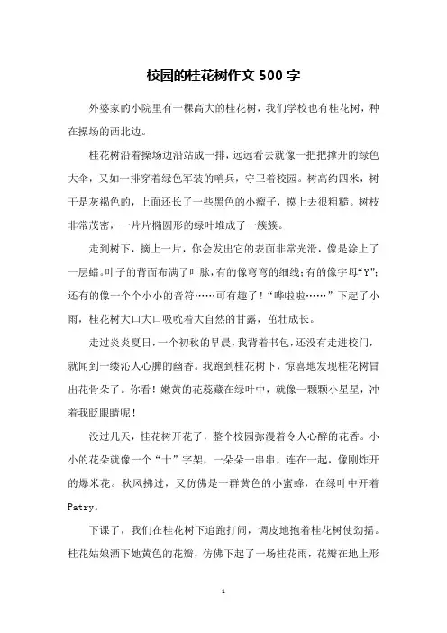 校园的桂花树作文500字