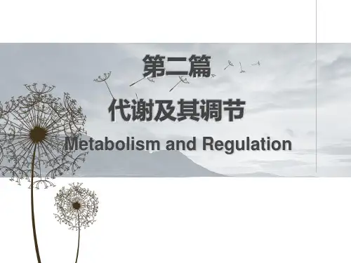 糖代谢1