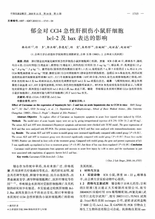 郁金对CCl4急性肝损伤小鼠肝细胞bcl-2及bax表达的影响