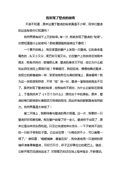 四年级作文：我发现了壁虎的秘密作文800字