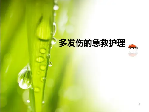 多发伤的急救护理PPT精选课件