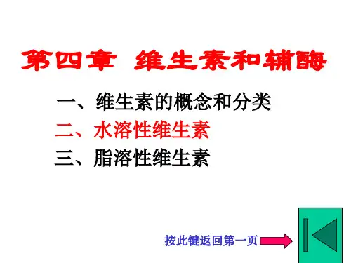 维生素和辅酶