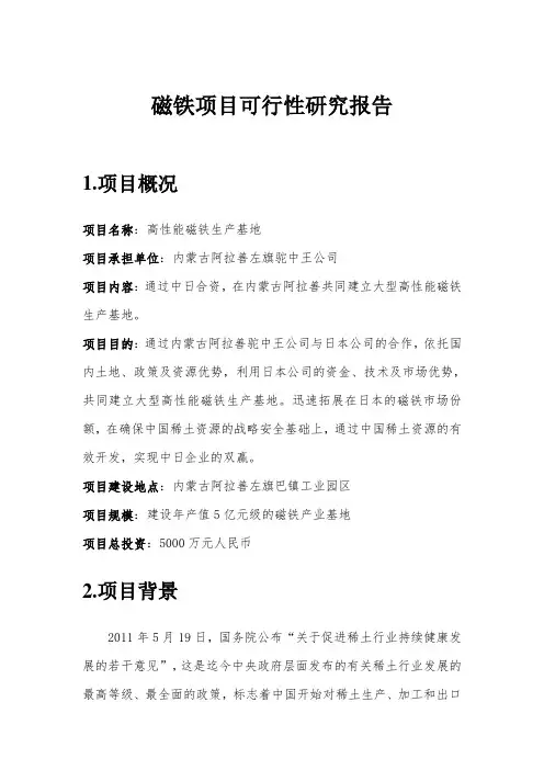 磁铁项目可行性研究报告汇总
