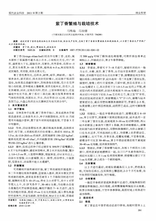 紫丁香繁殖与栽培技术