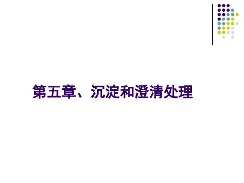第5章、沉淀和澄清处理