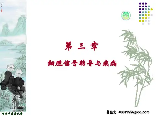第三章(一)细胞信号转导途径(全)