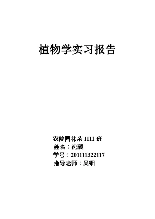 植物学实习报告