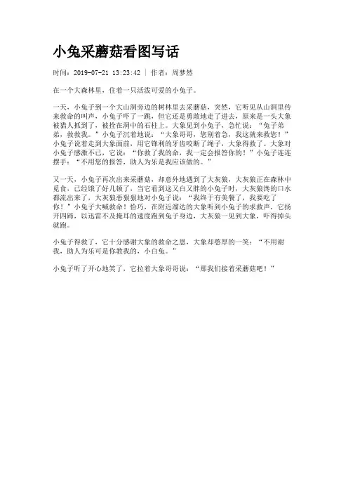 小兔采蘑菇看图写话