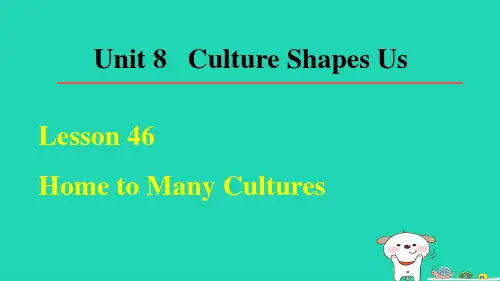 九年级英语下册 Unit 8Lesson 46 课件(新版)冀教版